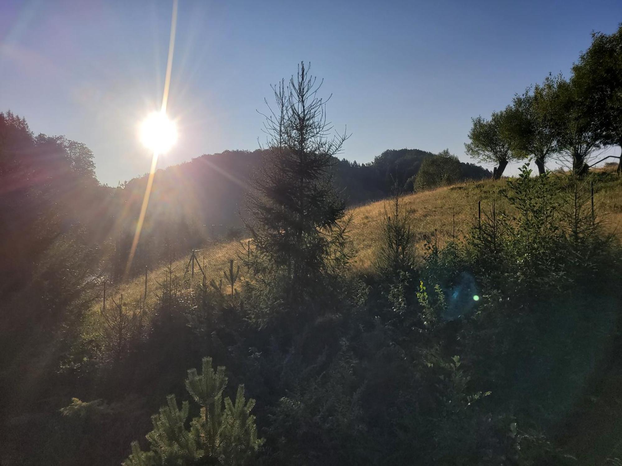Forest Camp Dom W Gorach Sowich Michalkowa Buitenkant foto