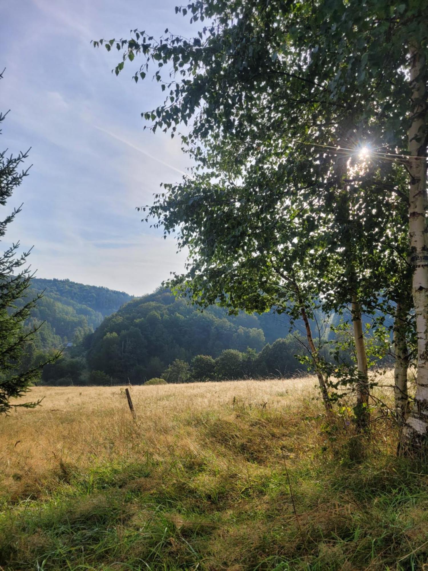 Forest Camp Dom W Gorach Sowich Michalkowa Buitenkant foto
